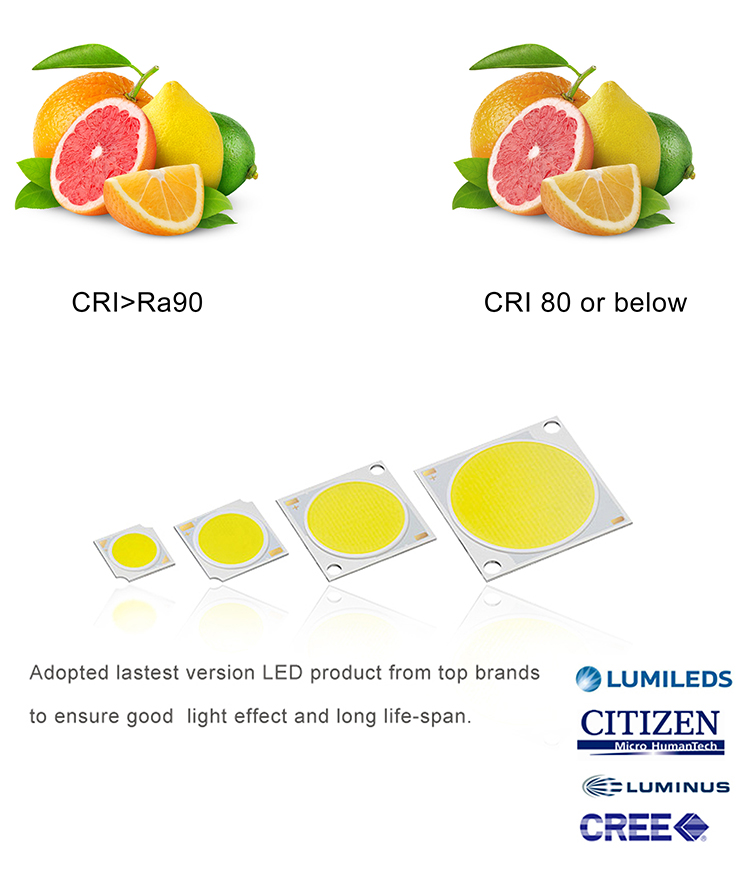 Led downlight