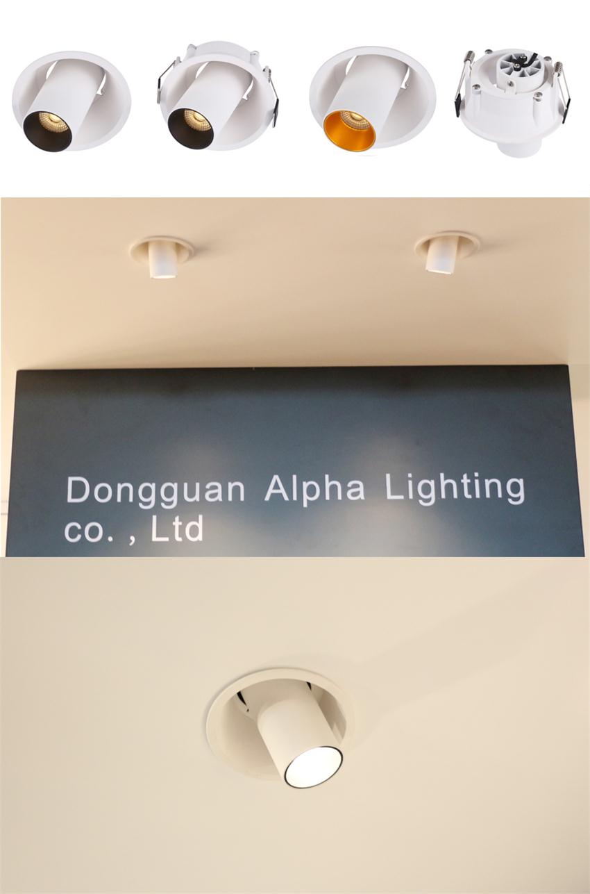 Adjustable downlight spot