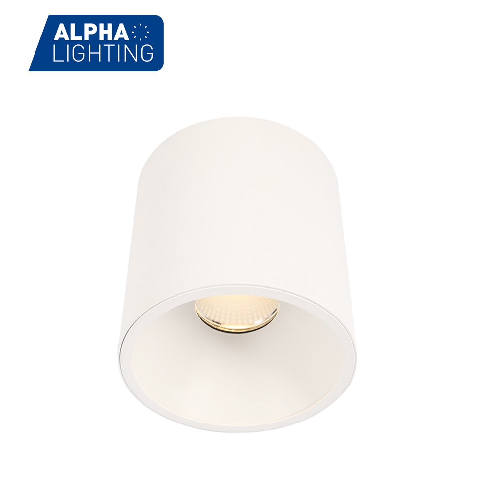 Ceiling Surface Downlight