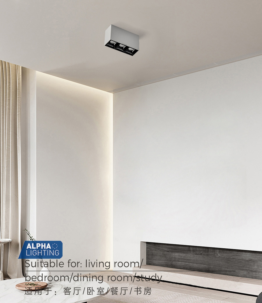  LED Dimmable Ceiling Light