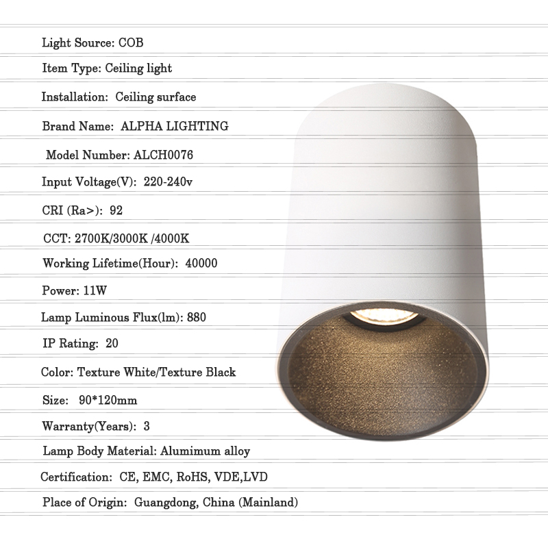 High Lumen LED Ceiling Mounted Light Details  