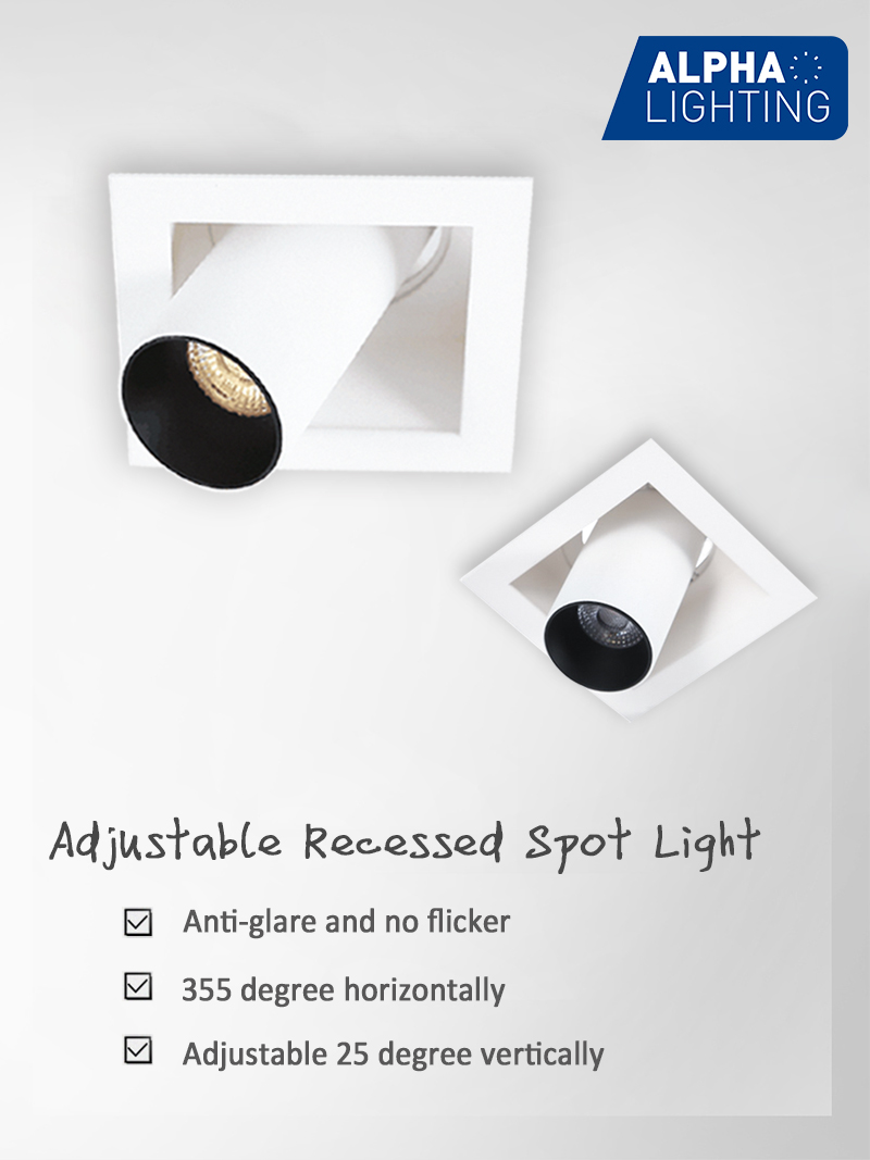 Adjustable Recessed Spot Light 