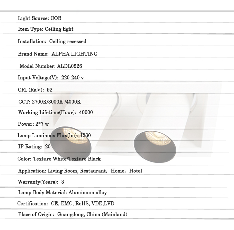 adjustable-angle downlight