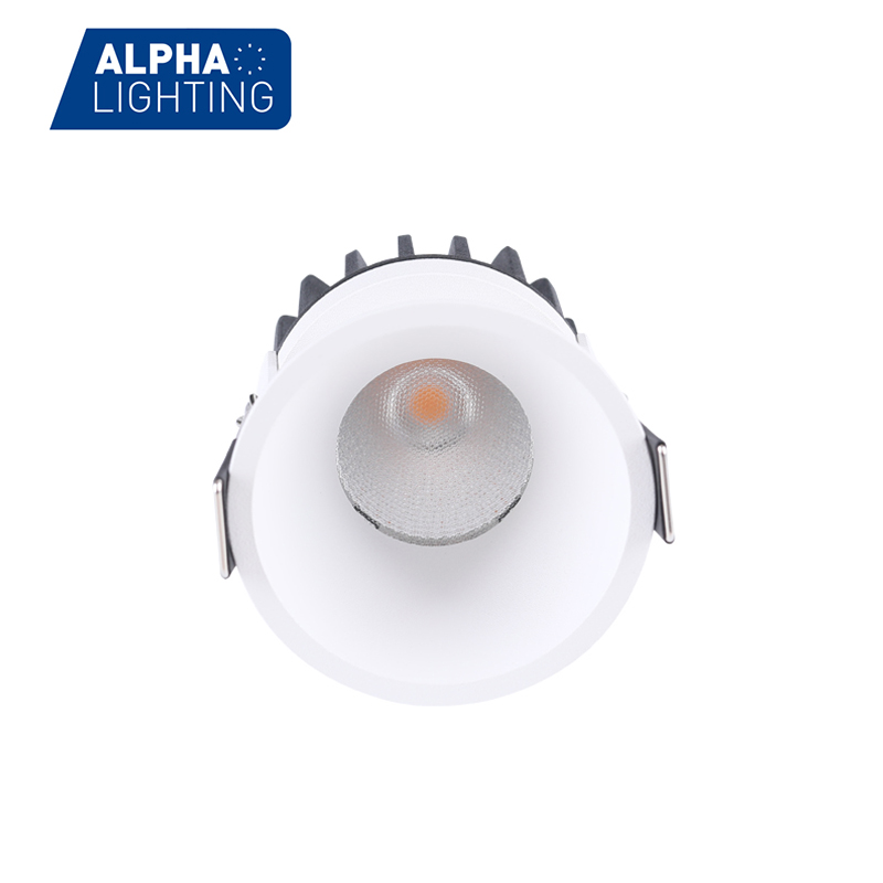 Round Indoor LED Down Light
