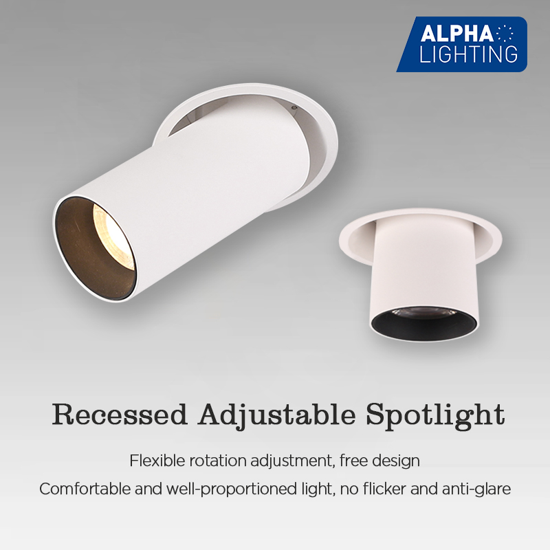 Recessed Adjustable Spotlight