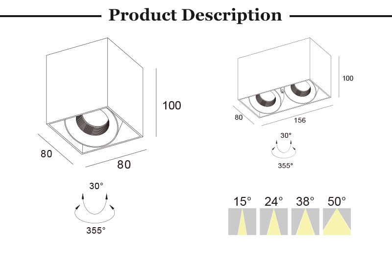 Adjustable Ceiling Light