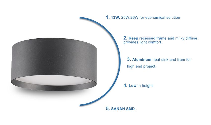Fixed SMD Ceiling Light