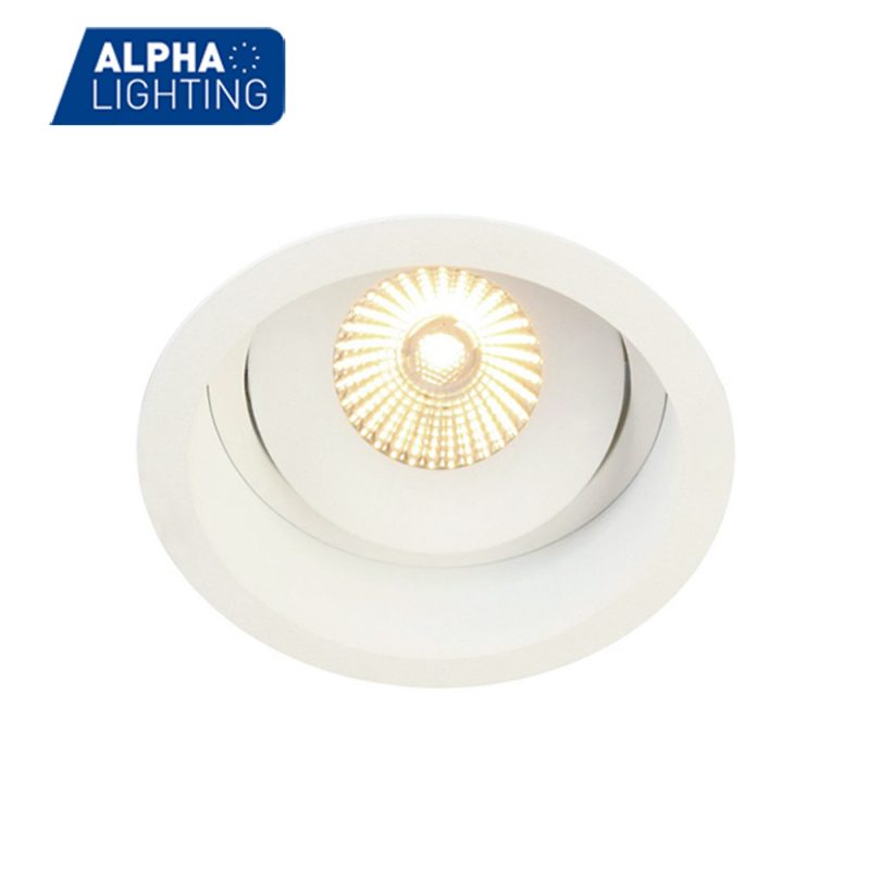 Adjustable and rotatable waterproof led downlight