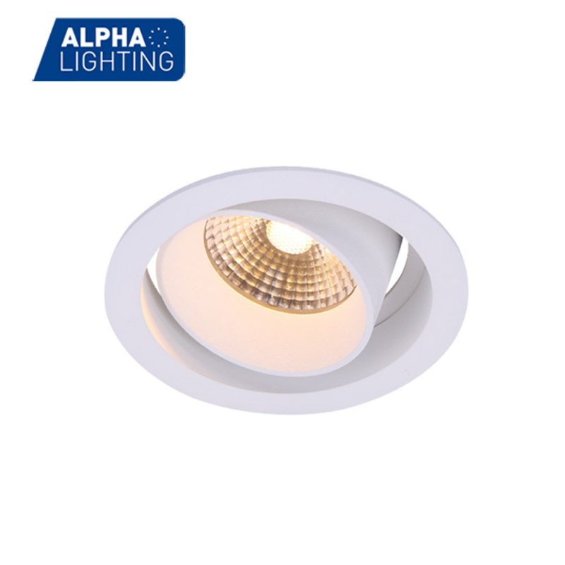 Adjustable round led spot downlight