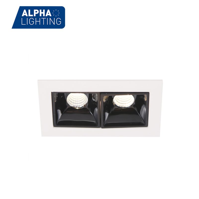 Double heads led linear recessed light