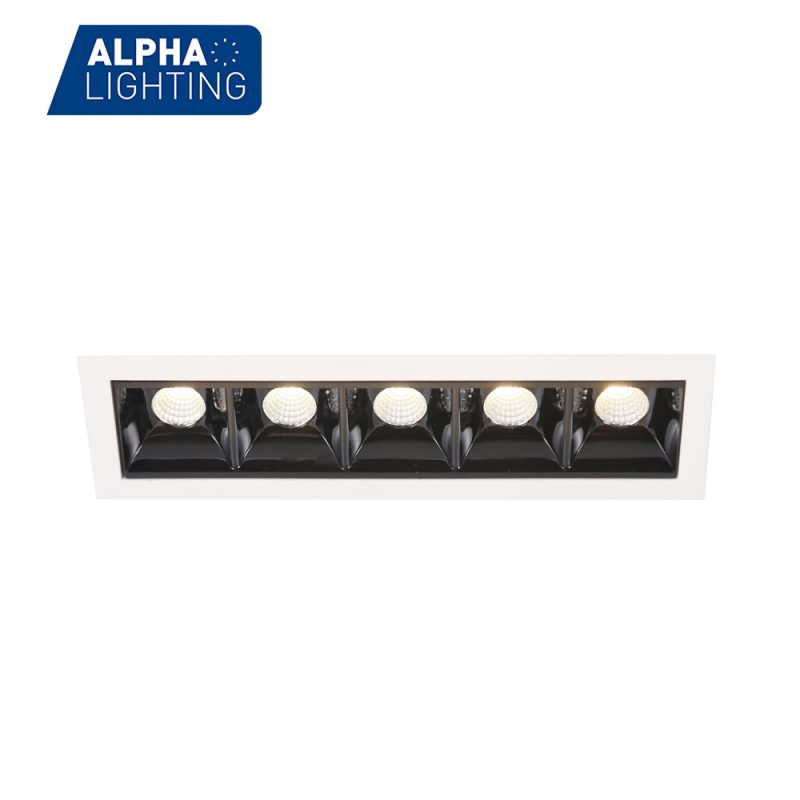 Quintuple heads led linear downlight