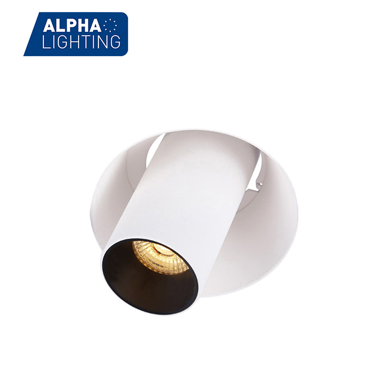 Trimless adjustable downlight-ALDL0424