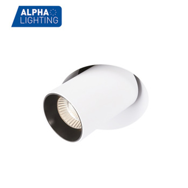 Trimless Adjustable 12W Downlight-ALDL0453