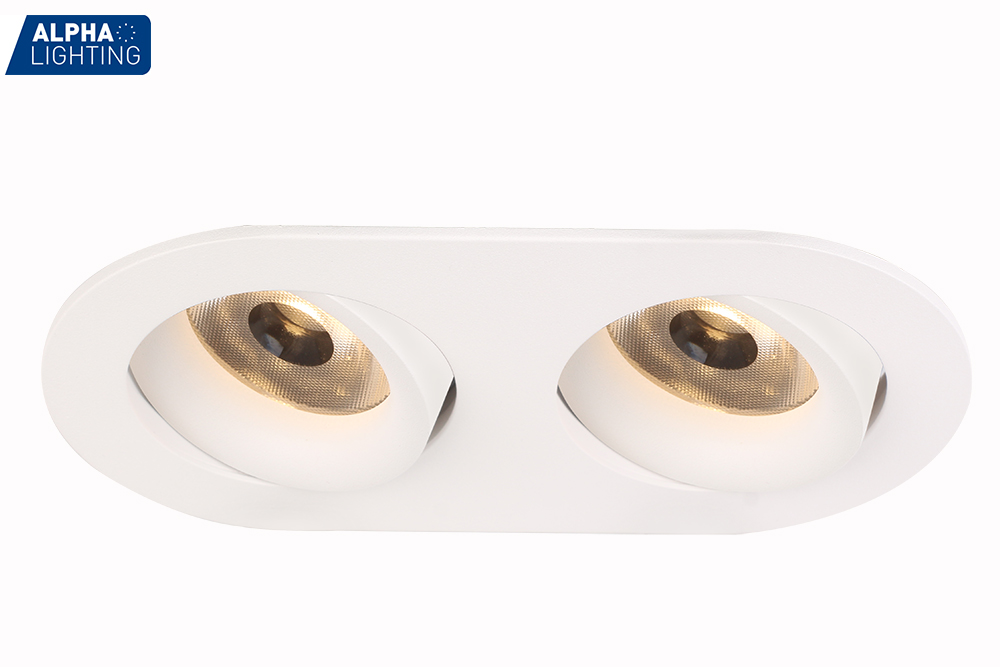 Double Head ip54 waterproof Indoor Led Spot Light, Led Spot Light For Living Room-ALDL1008