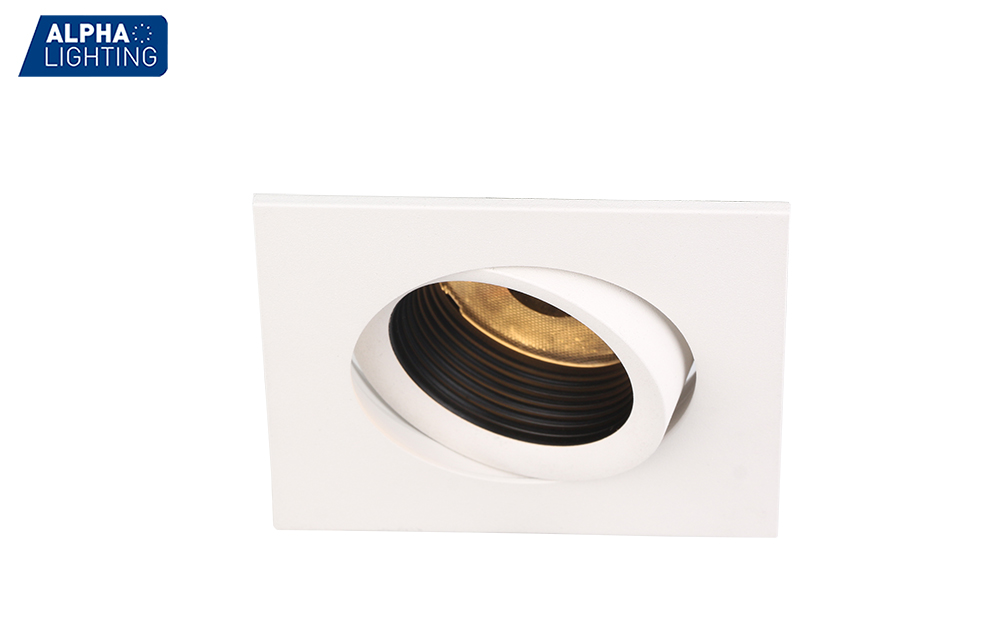 Outdoor Ip54 Double head Commercial Adjustable Downlight -ALDL1009