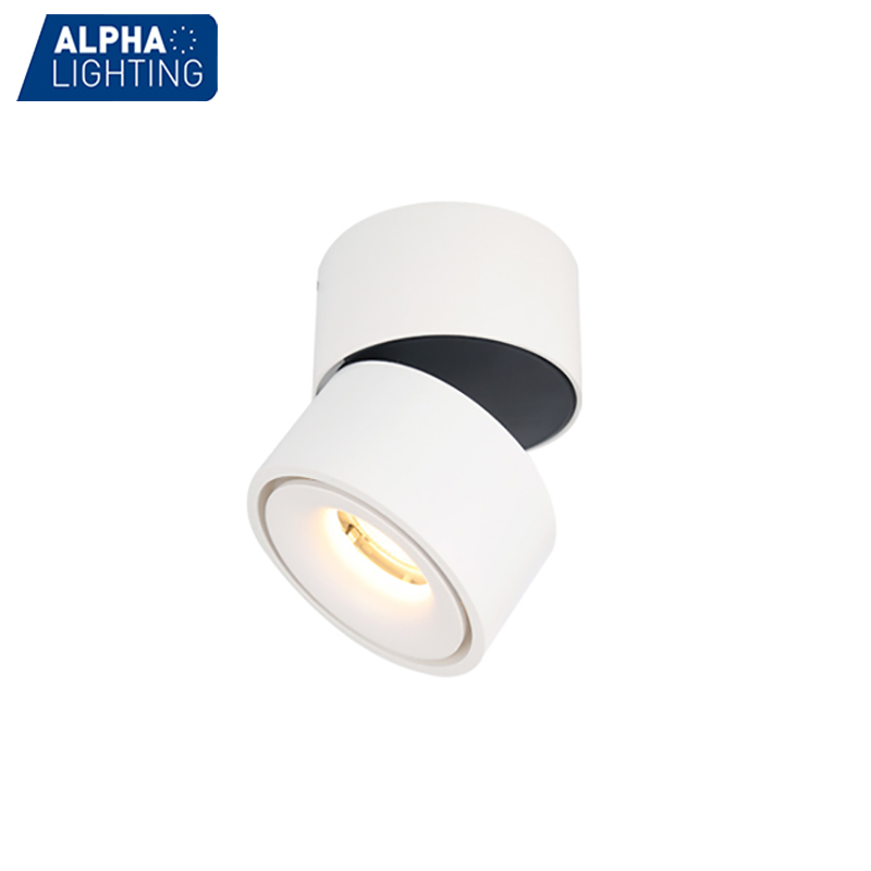 Modern design 10w/13w dimmable ceiling led light flexible surface mounted downlight-ALCH0075