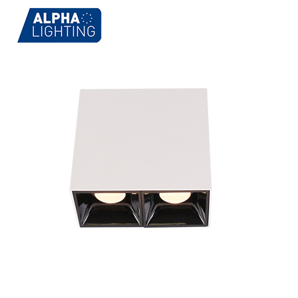 Square Double Head  Surface Mounted Lighting 2*7W Led Anti Glaring Ceiling Light