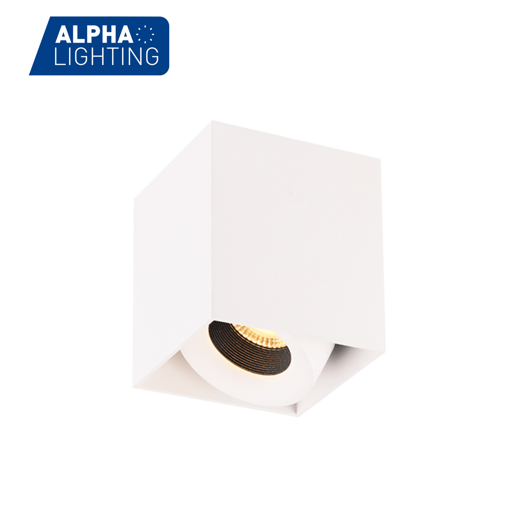 2021 New stylish Rotatable IP20 Surface LED 8W Ceiling Light