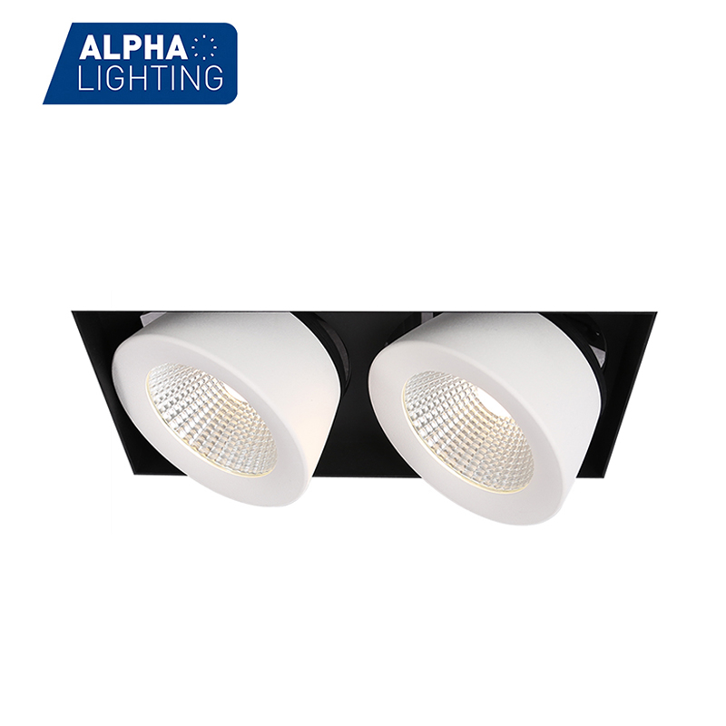 Aluminum Adjustable Commercial New Design IP20 Double Head Ceiling Recessed Led Spot Light